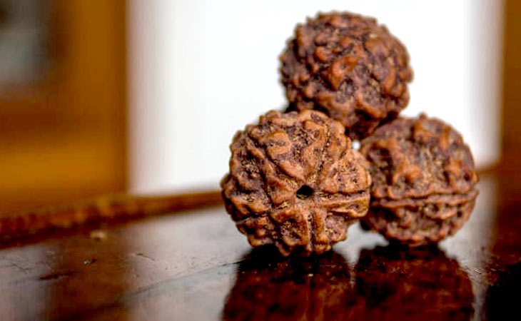 1 to 16 Mukhi Rudraksha