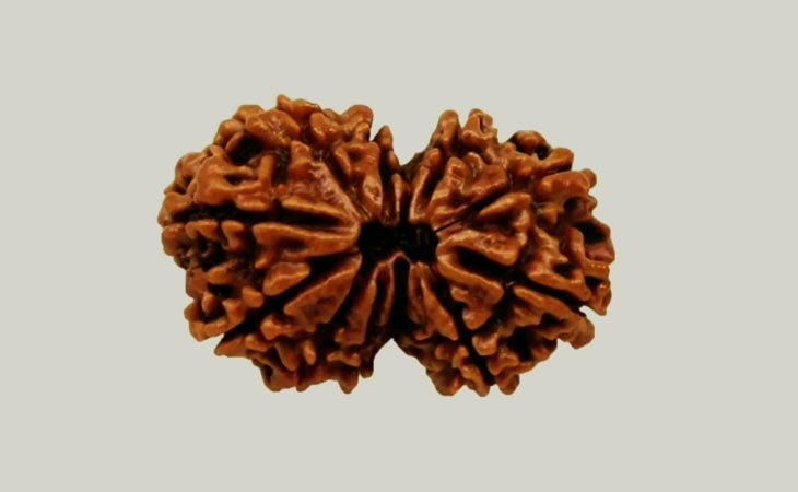 Special Rudraksha